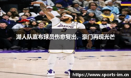 im体育平台