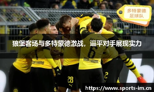 im体育官网
