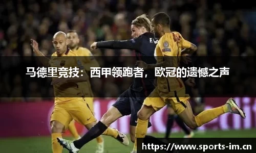 马德里竞技：西甲领跑者，欧冠的遗憾之声