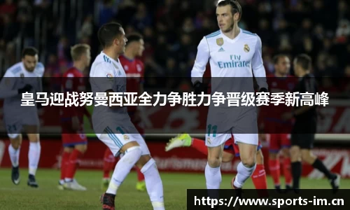 im体育官方网站