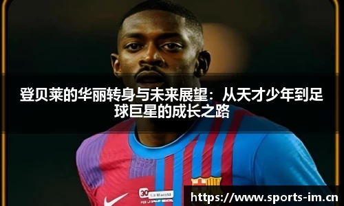 im体育官方网站