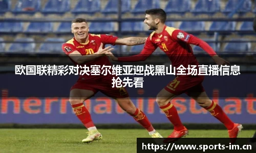 im体育官方网站